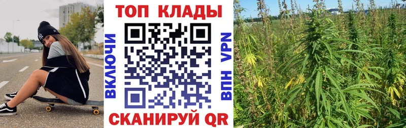 Купить А ПВП  Кокаин  ГАШ  Меф мяу мяу  Канабис  Александров