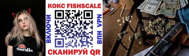 Cocaine FishScale  Купить где  Александров 