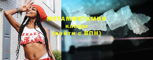 шишки Архангельск