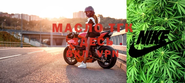 прущие грибы Чита