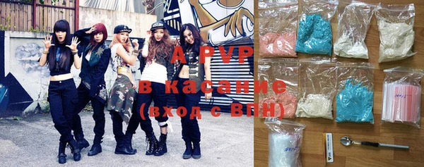 шишки Архангельск