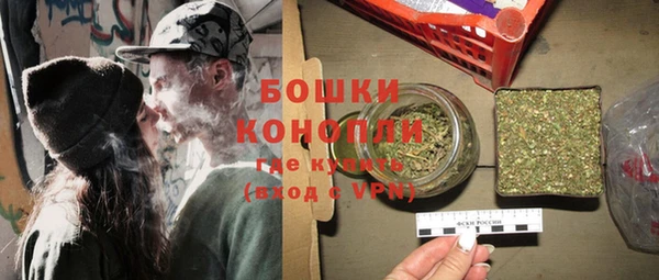 прущие грибы Чита