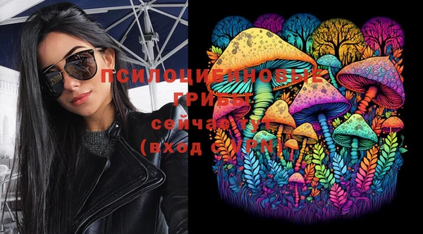 шишки Архангельск